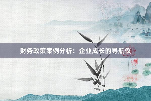 财务政策案例分析：企业成长的导航仪